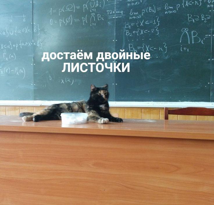 Фото поста канала  ТАТМЕДИА | Новости Казани и Татарстана
