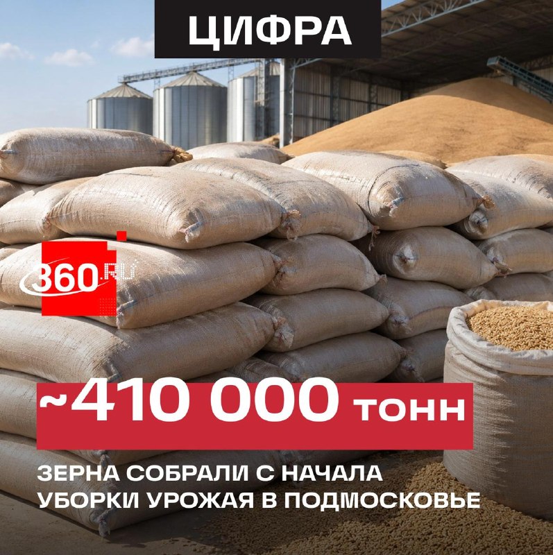 Фото поста канала  360.ru