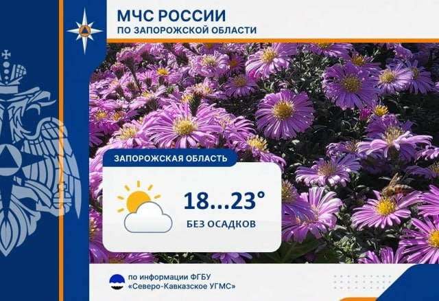 Фото поста канала  Главное в Мелитополе