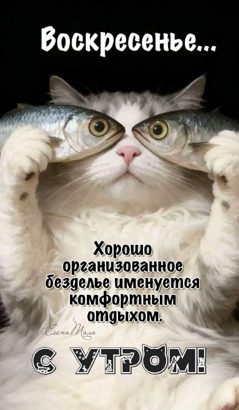 Фото поста канала Открытки Доброе Утро