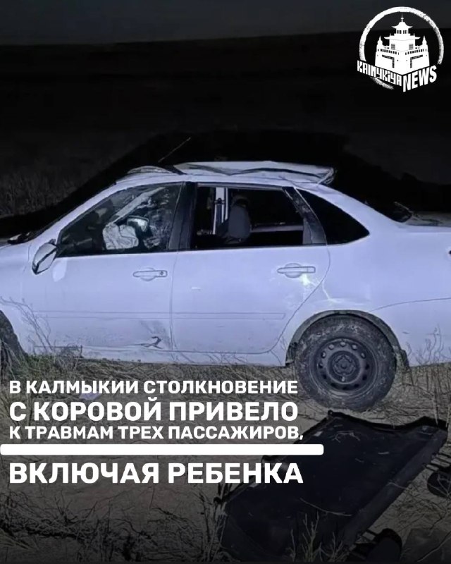 Фото поста канала  Калмыкия NEWS