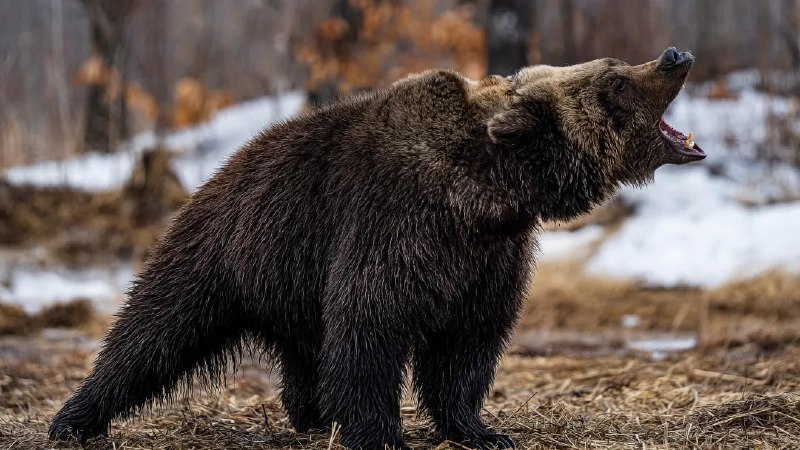 Фото поста канала  ЯМонитор