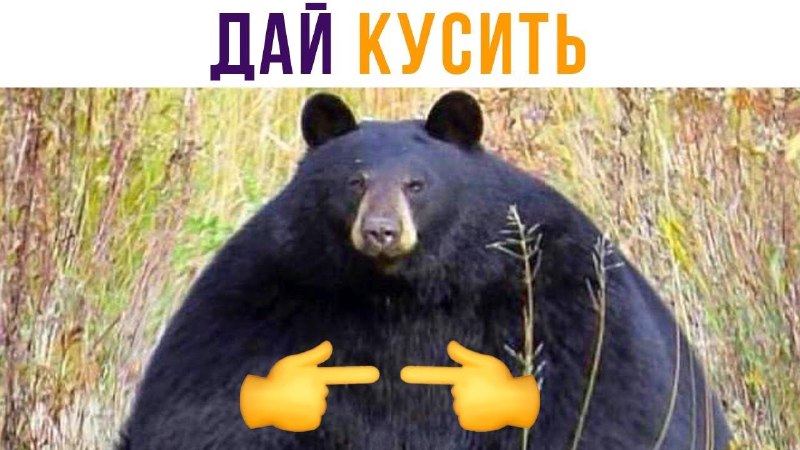 Фото поста канала ТОПОР - Горячие новости
