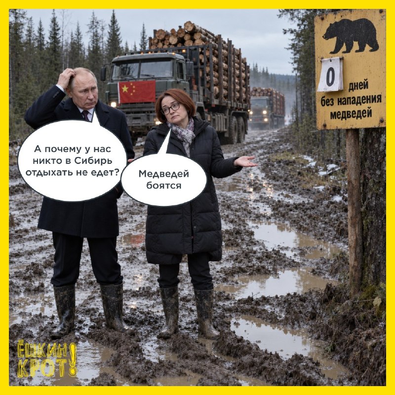 Фото поста канала  ПОЛУАВТОБИЯ