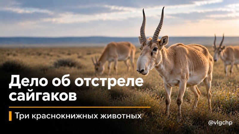 Фото поста канала  Волгоград