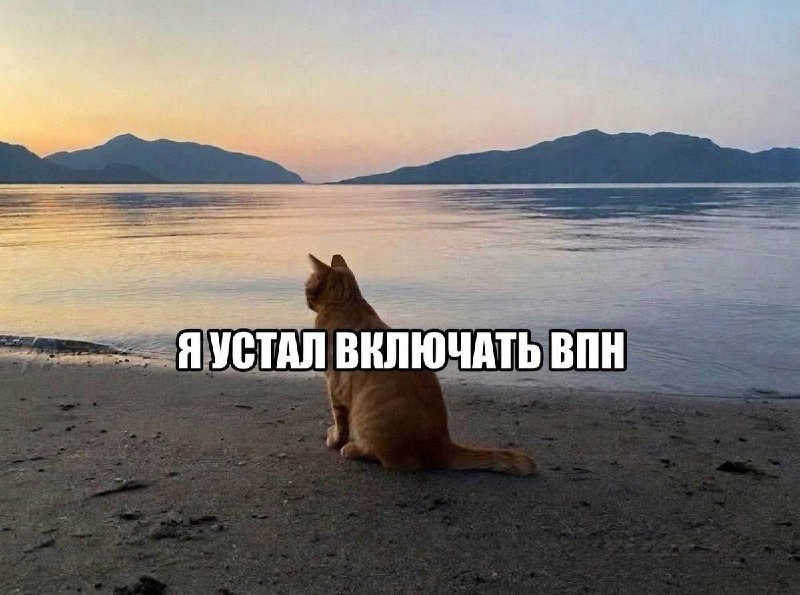 Фото поста канала не вешай носик котёночек