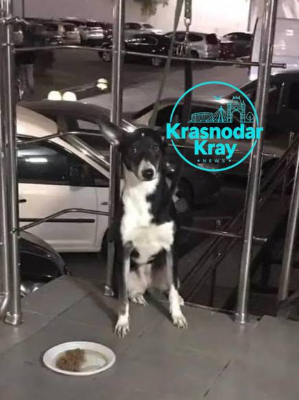 Фото поста канала  Краснодар и край