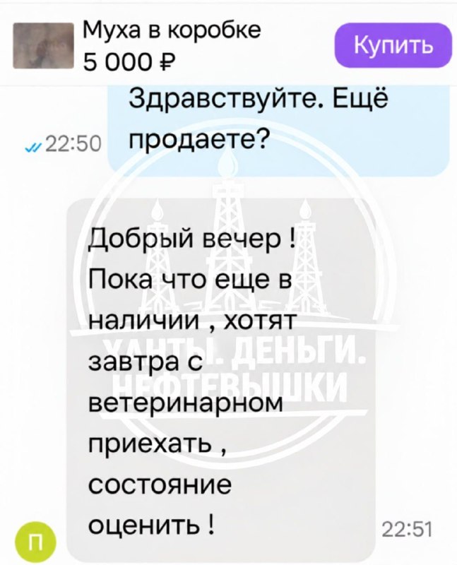 Фото поста канала  Ханты, деньги, нефтевышки