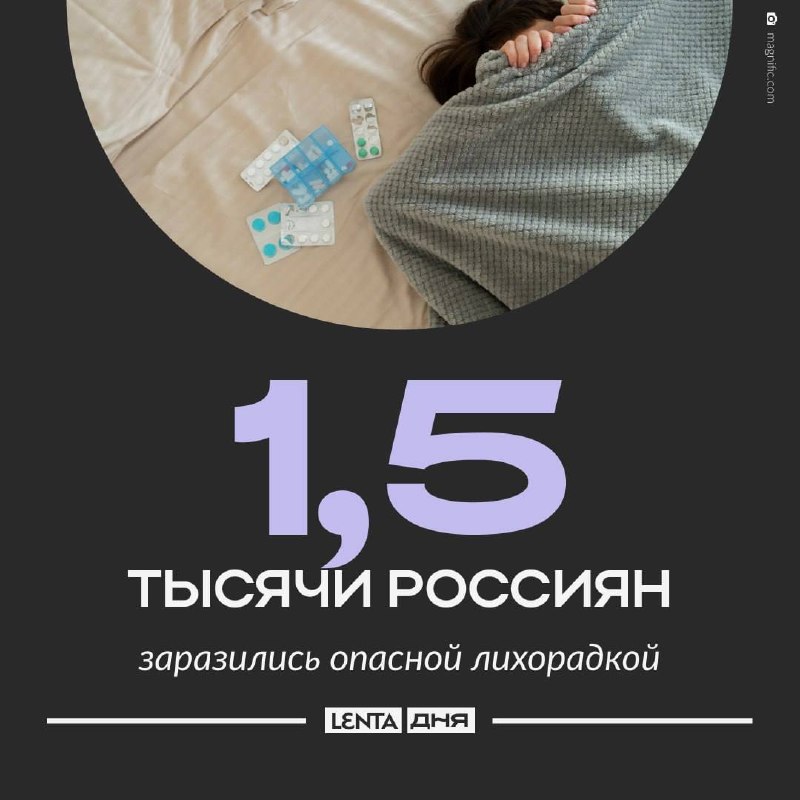 Фото поста канала  svodka38