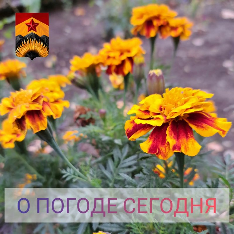 Фото поста канала Лента новостей ДНР | Z ТГ_ТЕСТ