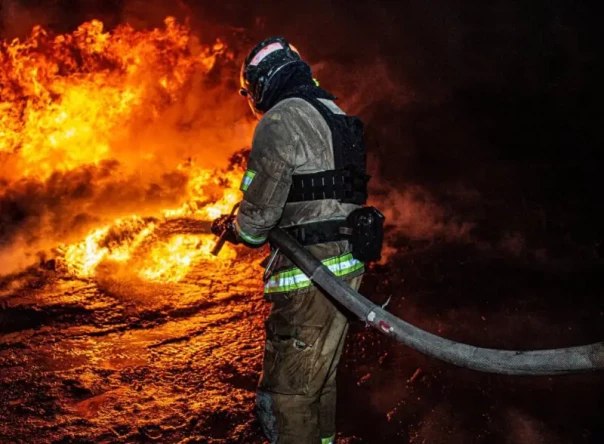 Фото поста канала  e-News.su - Новостной сайт!