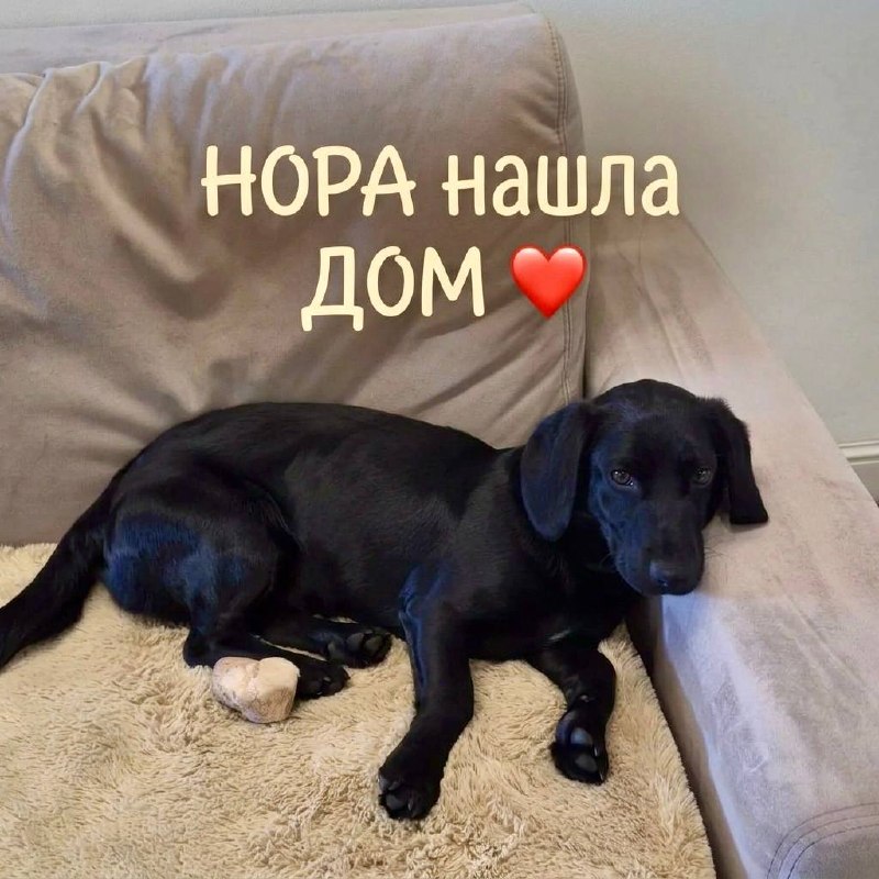 Фото поста канала  Блокнот Ростов