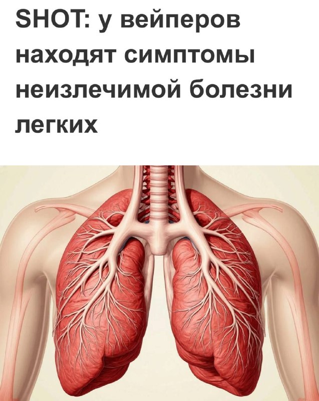 Фото поста канала  Бабка знает всё!
