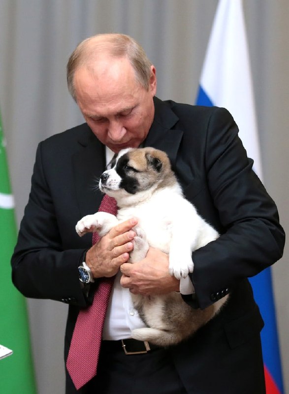 Фото поста канала  Московский комсомолец: главное сегодня