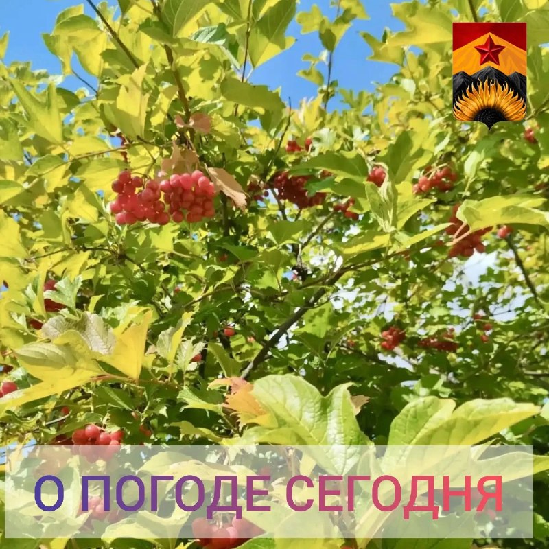 Фото поста канала Лента новостей ДНР | Z ТГ_ТЕСТ