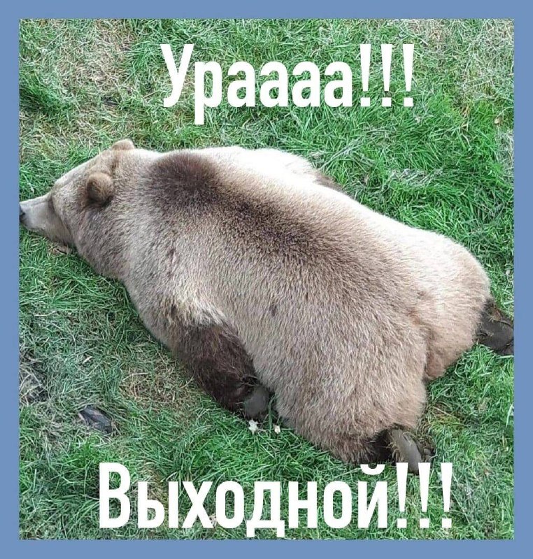 Фото поста канала  Мониторинг 02 Республика Башкортостан