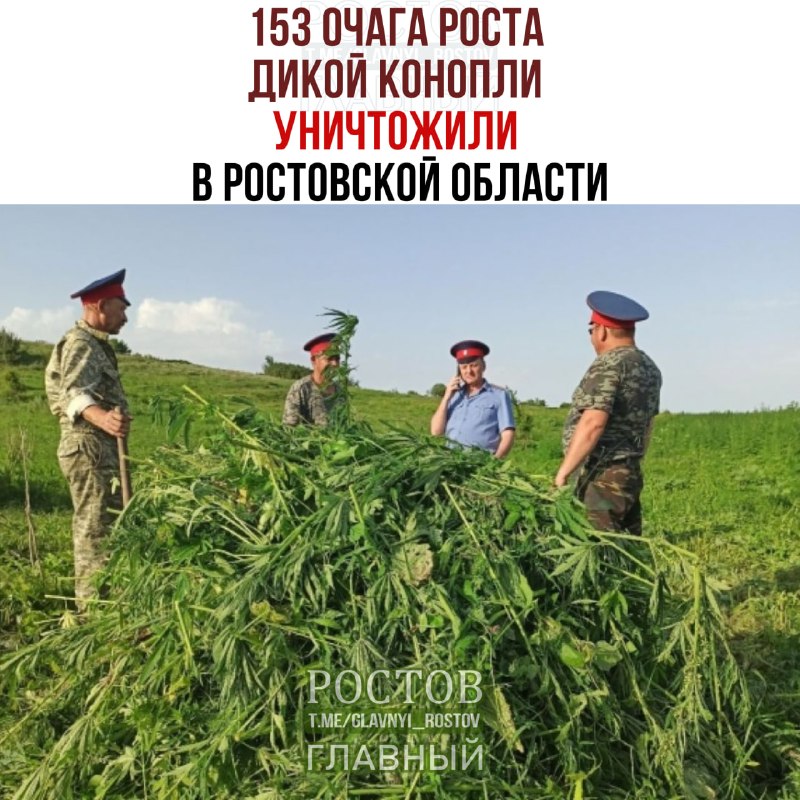 Фото поста канала  Ростов Главный новости