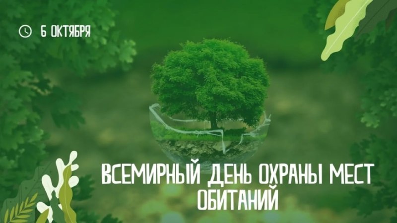 Фото поста канала  Мониторинг 29 Архангельская область
