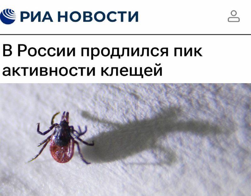 Фото поста канала  Политика тут не причем