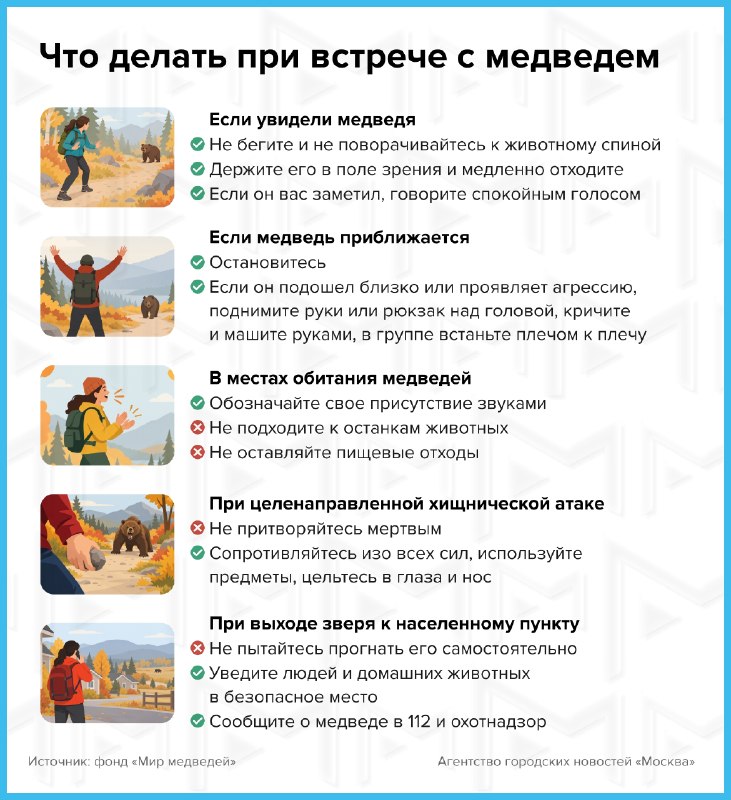 Фото поста канала  БольшоеУхо