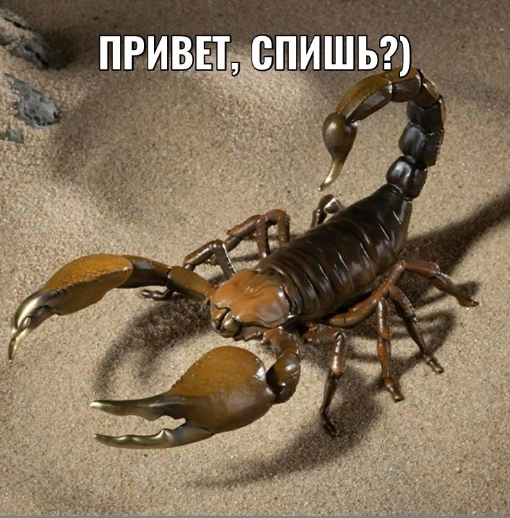 Фото поста канала  Фонтанка SPB Online
