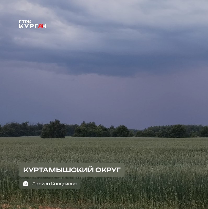 Фото поста канала  Мониторинг 45 Курганская область