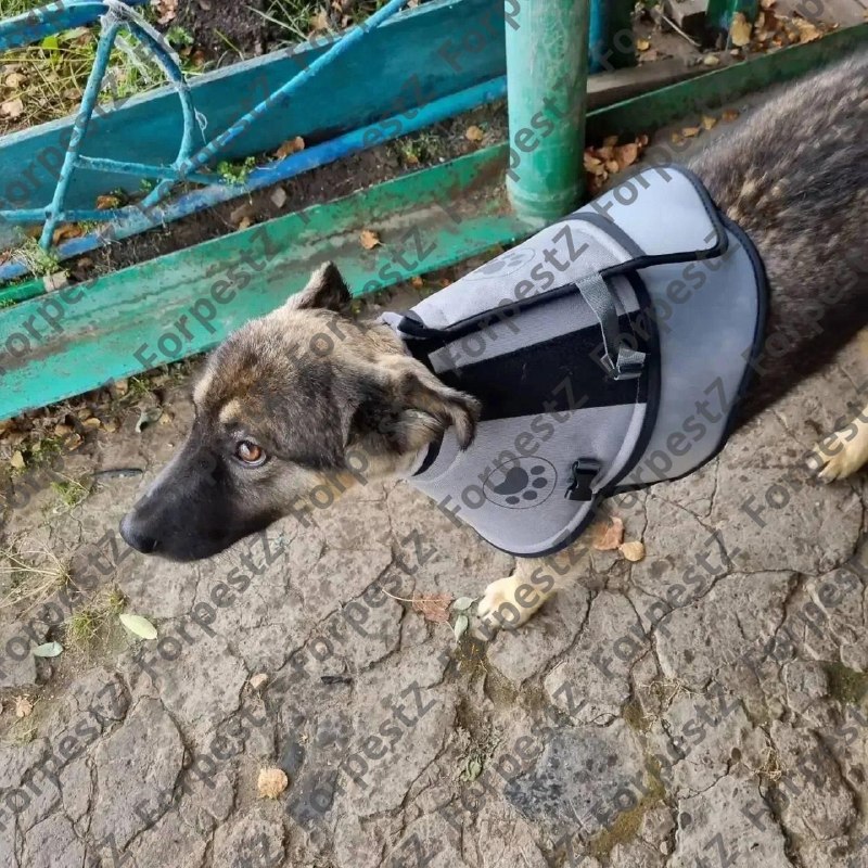Фото поста канала  Мисливец Егор
