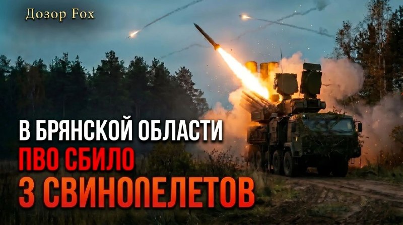 Фото поста канала  Новозыбков FOX