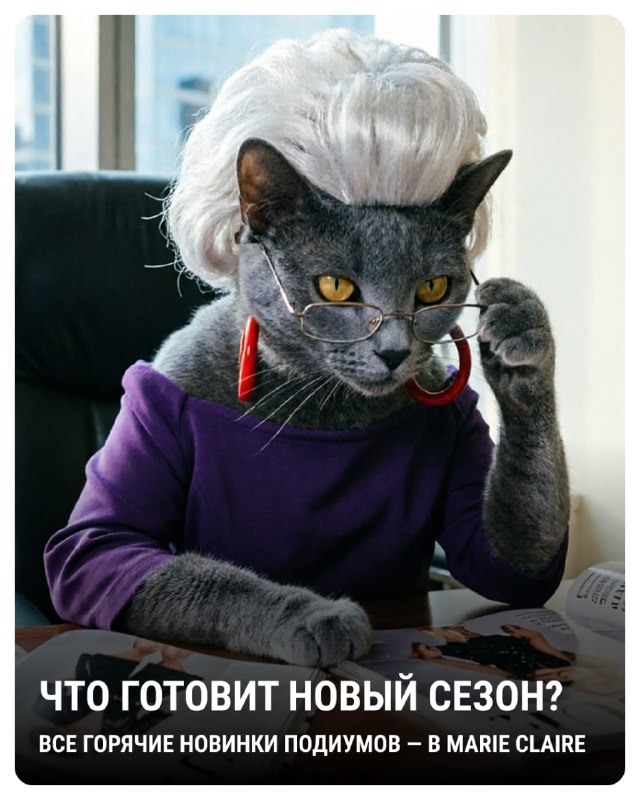 Фото поста канала V1.RU | Новости Волгограда