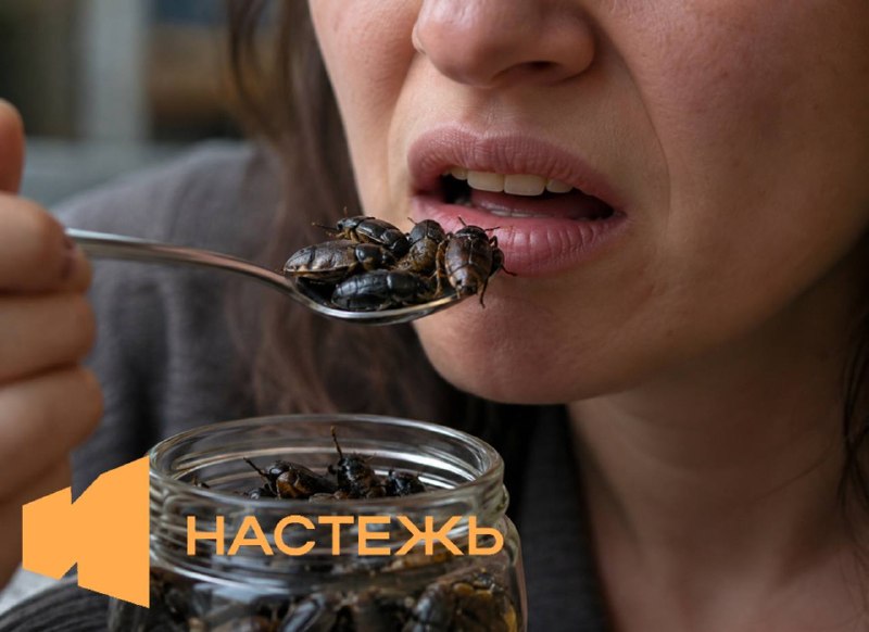 Фото поста канала Настя Ивлеева