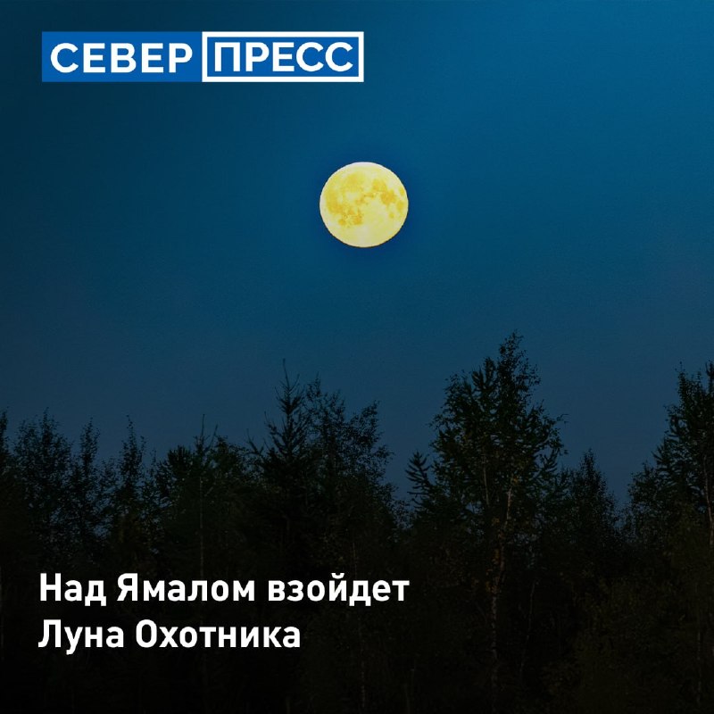 Фото поста канала  Мониторинг 89 Ямало-Ненецкий АО