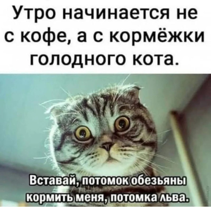 Фото поста канала  ИА ЛАБЫТНАНГИ