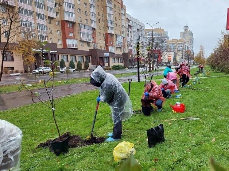 Фото поста канала  АрхДайджест