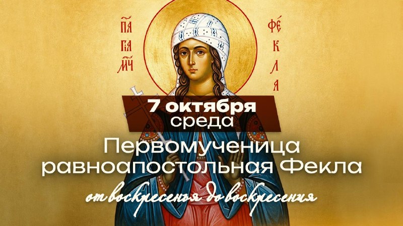 Фото поста канала  Телеканал СПАС