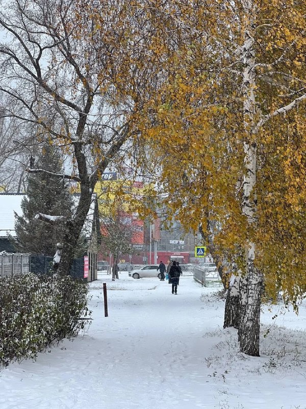Фото поста канала Инцидент Новосибирск