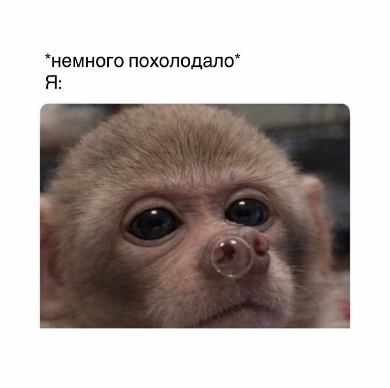 Фото поста канала Onliner