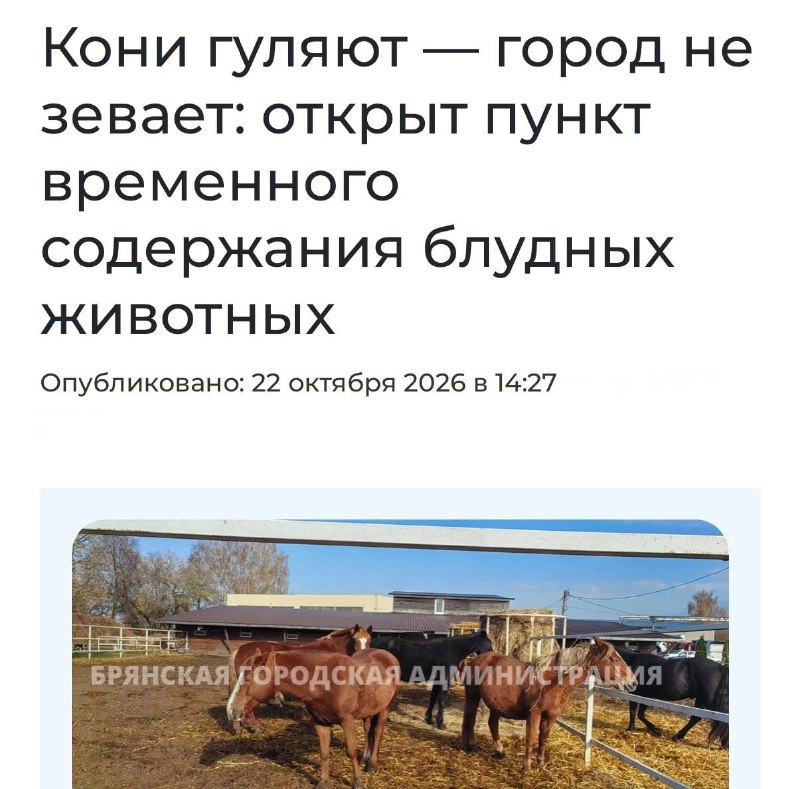 Фото поста канала  ФОКУС МОСКВЫ🇷🇺