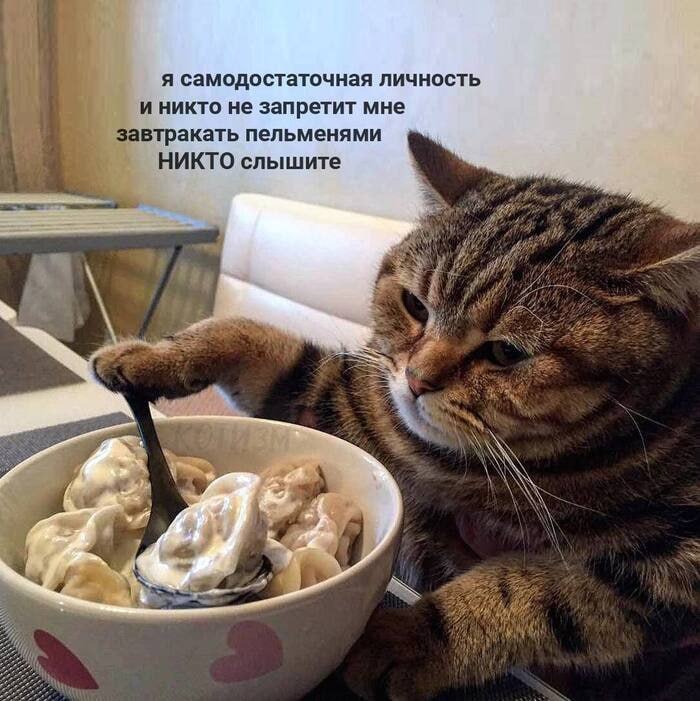 Фото поста канала Бегущий по рынку