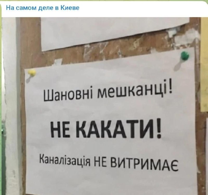 Фото поста канала  МЫ РУССКИЕ🇷🇺