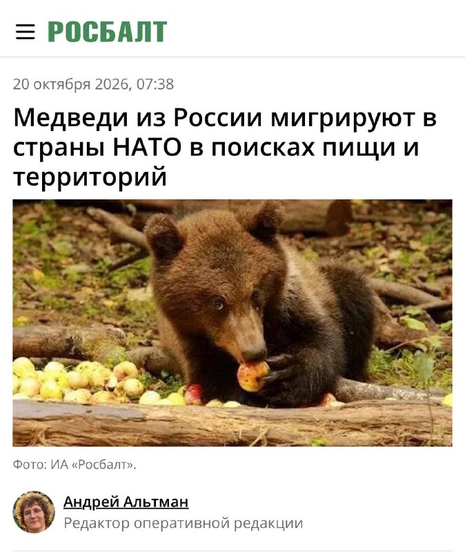 Фото поста канала Дорогая хурма