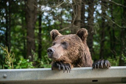 Фото поста канала  Лента Новостей