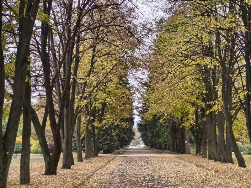 Фото поста канала  Петровский район [Донецк]