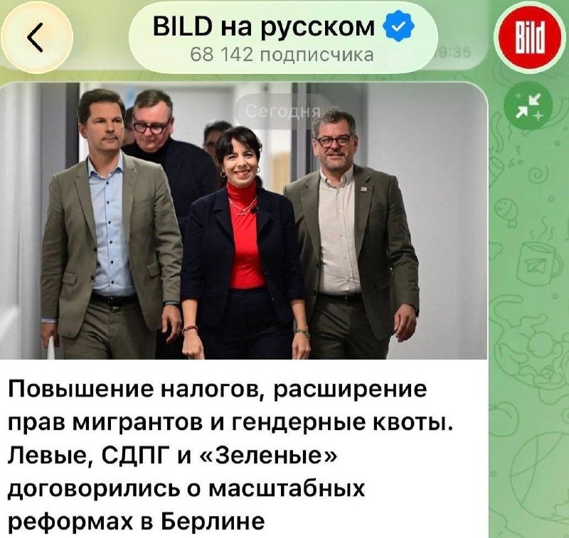 Фото поста канала  Русский котик оптимист