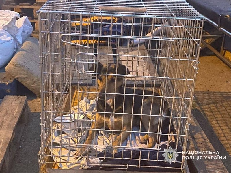 Фото поста канала  Днепр агрегатор новостей