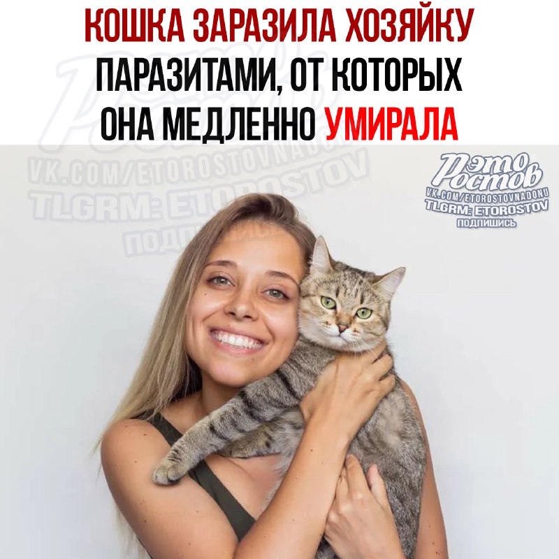 Фото поста канала  Это Ростов новости