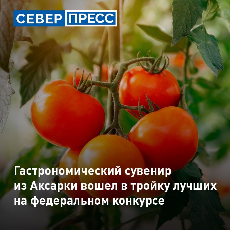 Фото поста канала  Мониторинг 89 Ямало-Ненецкий АО