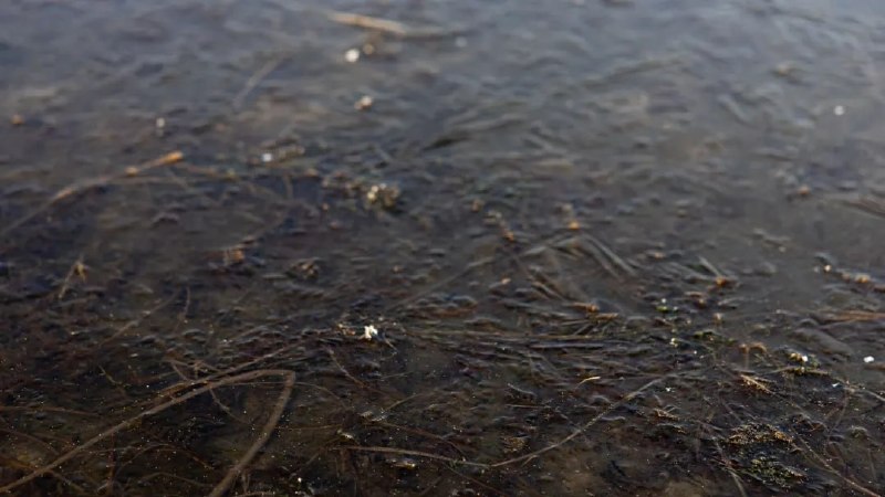 Фото поста канала  Мониторинг Арктика