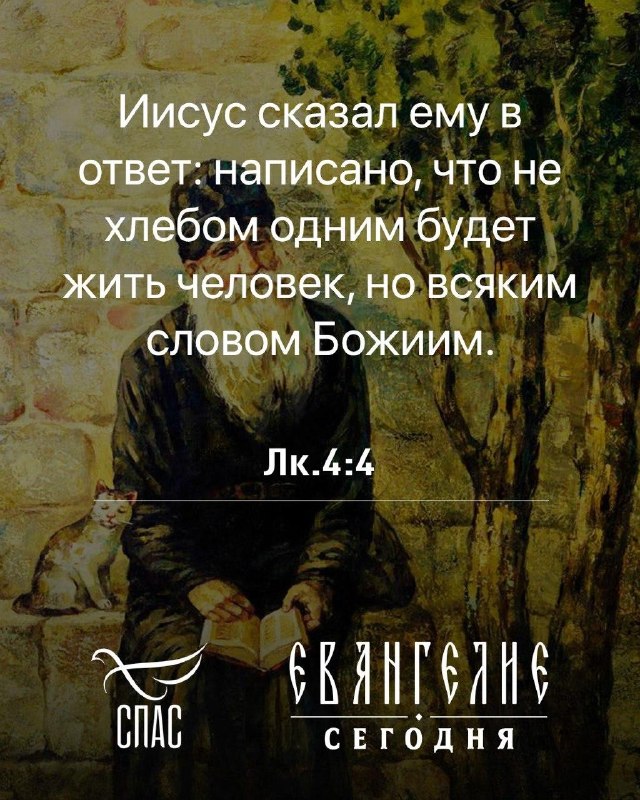 Фото поста канала  Телеканал СПАС