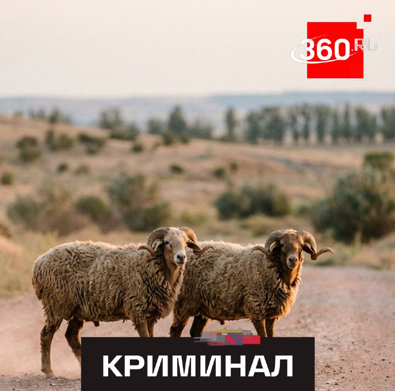 Фото поста канала  360.ru