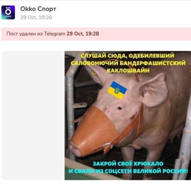 Фото поста канала  Русский императив